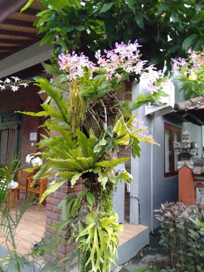 Twins Homestay Canggu  Bagian luar foto